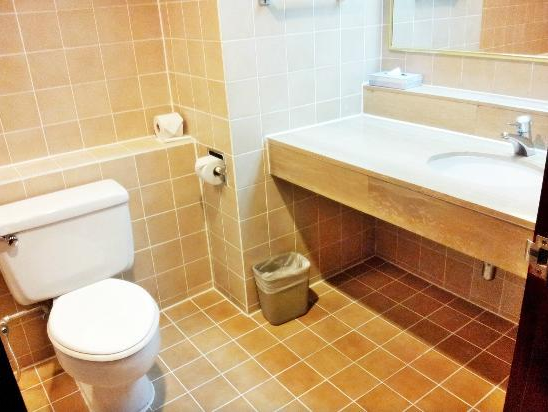 HOTEL REVIEW – COPTHORNE ORCHID HOTEL