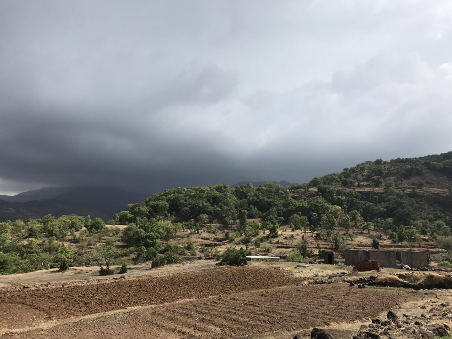 bhandardara fields