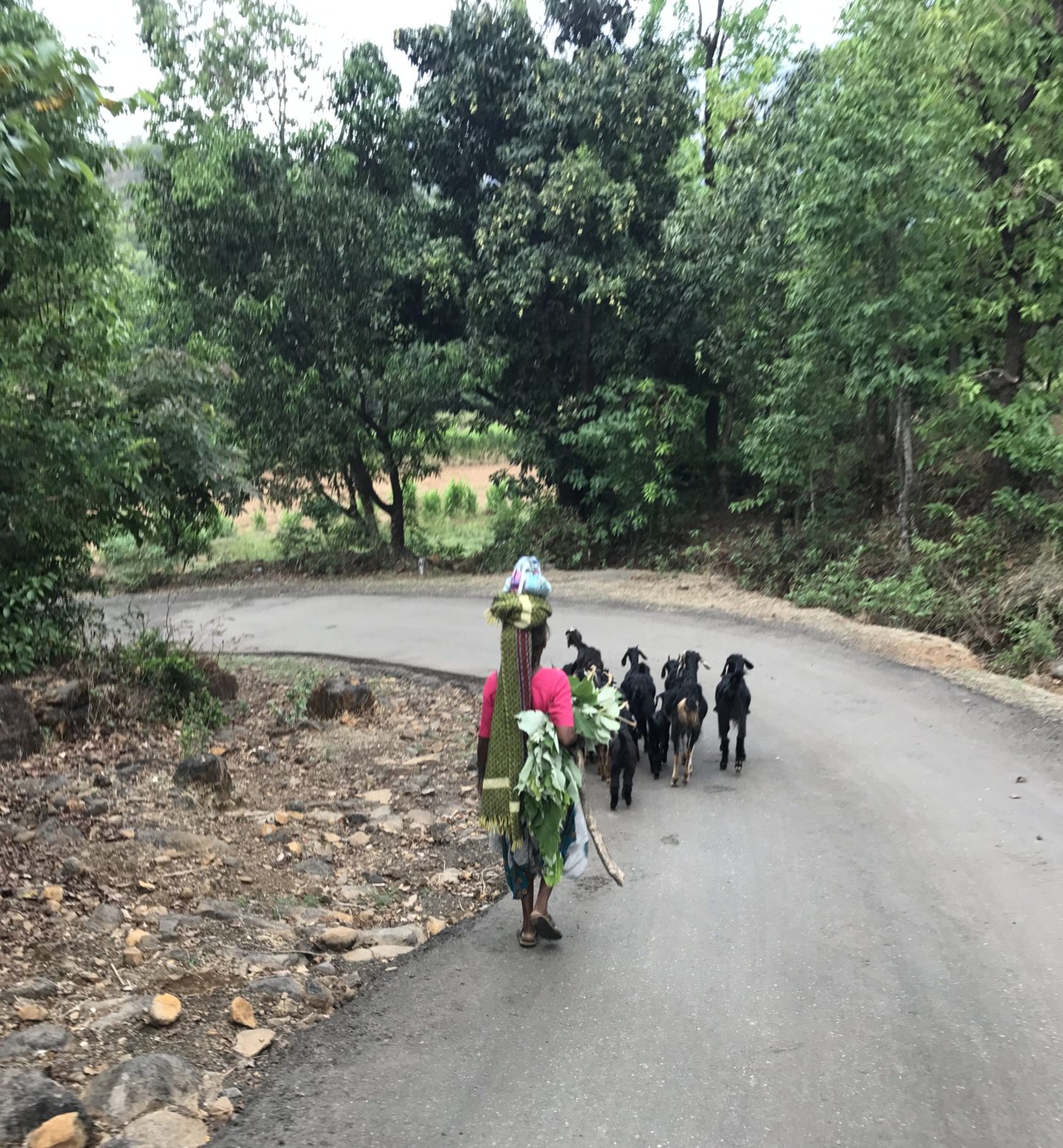 bhandardara locals