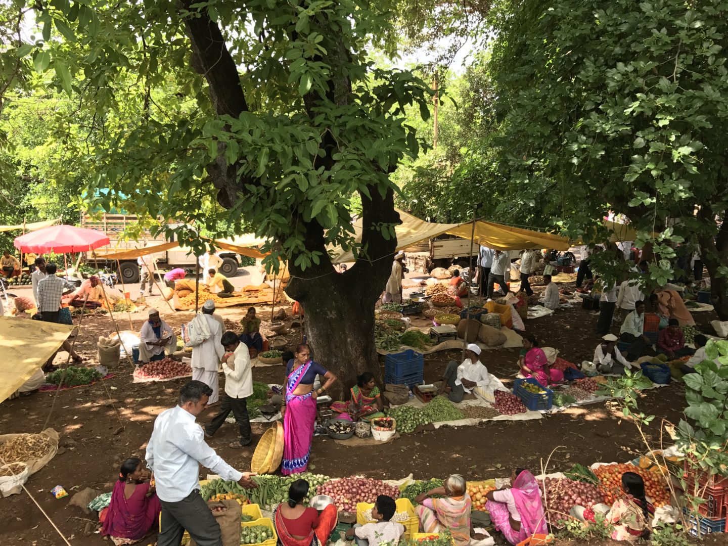bhandardara market