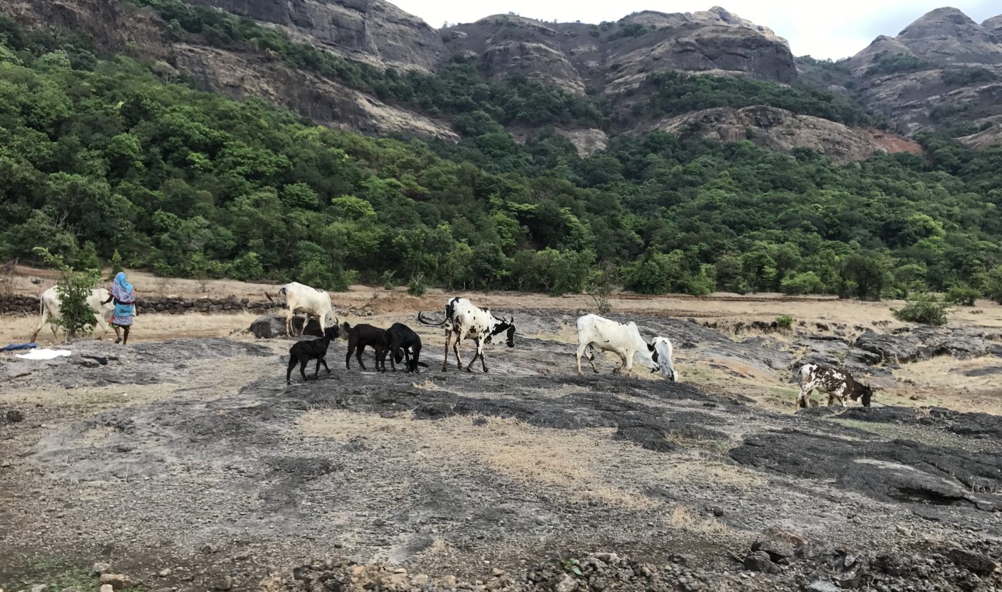 crossing the river bhandardara