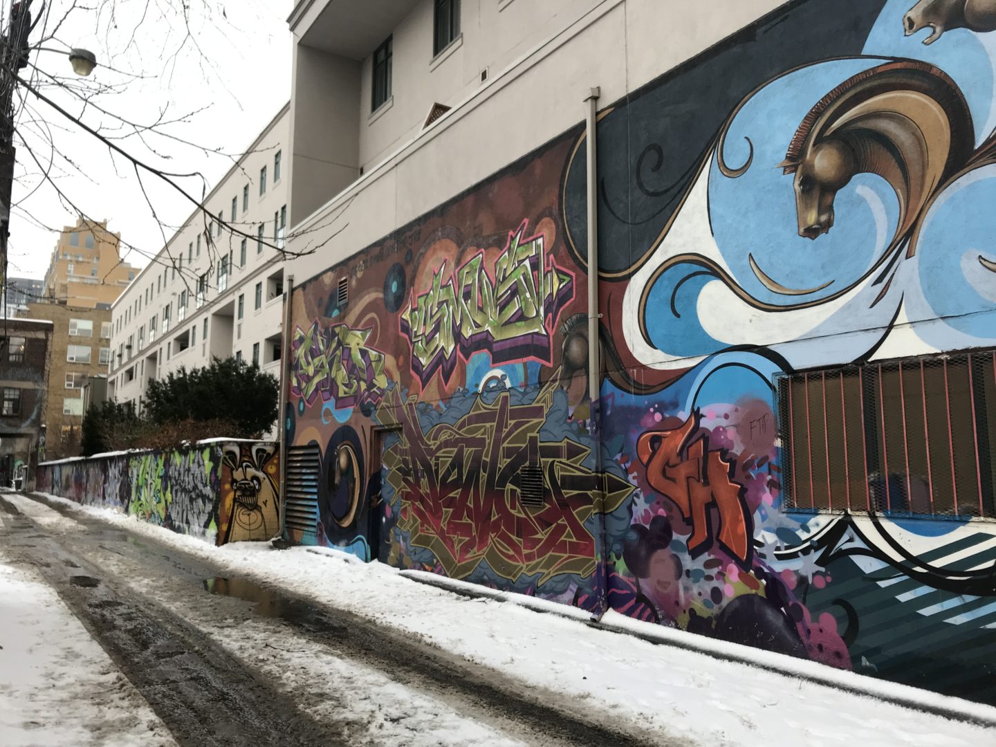 graffiti alley ontario