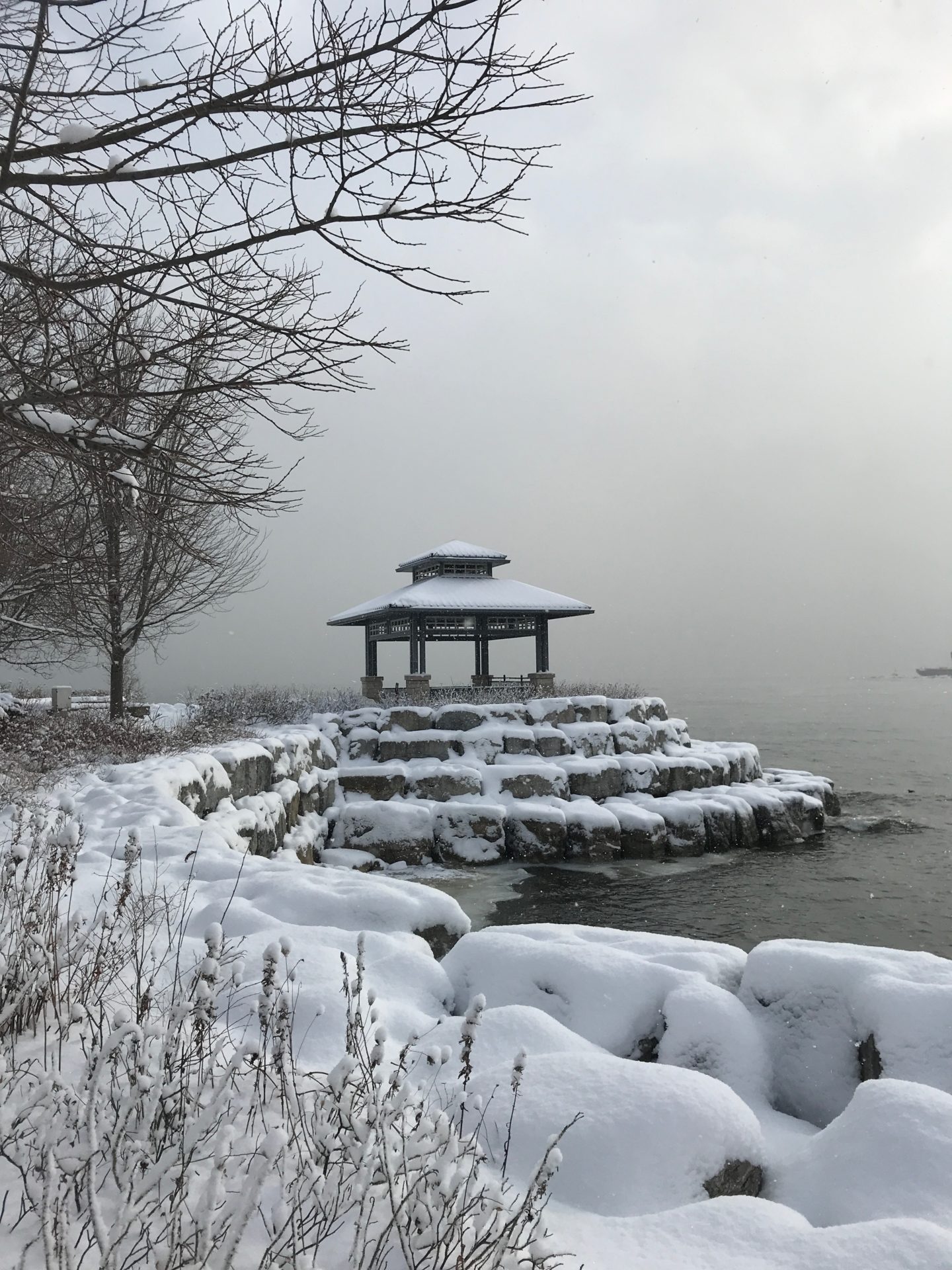 toronto in winter