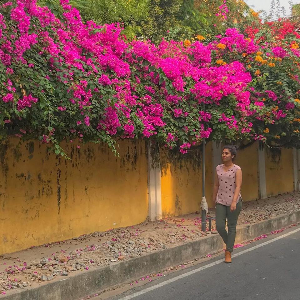 thatgoangirl in pondicherry