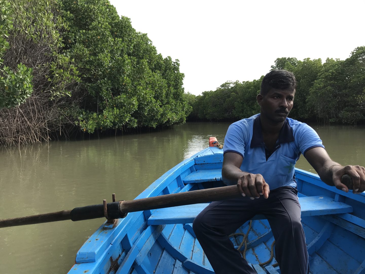 pichavaram fisherman