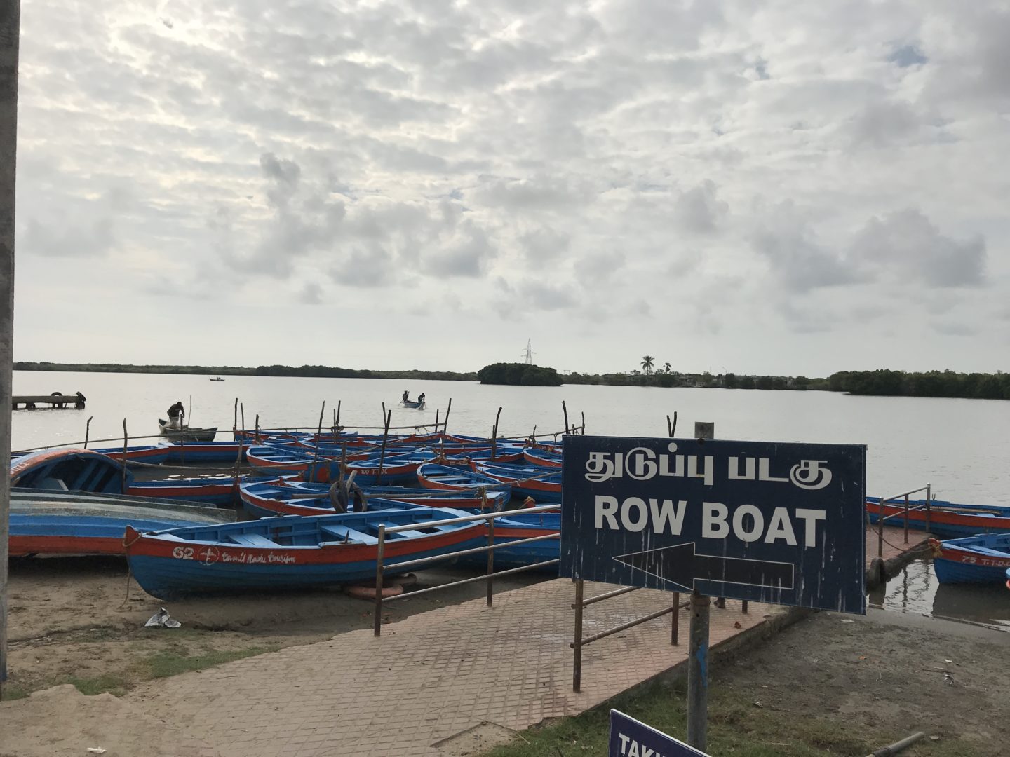 pichavaram row boats