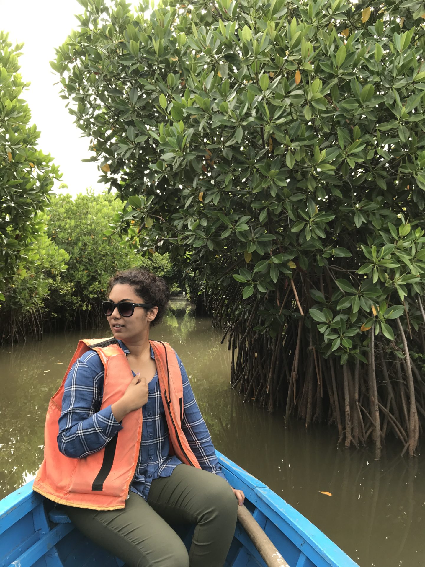 Exploring the Mangrove Forests of Pichavaram