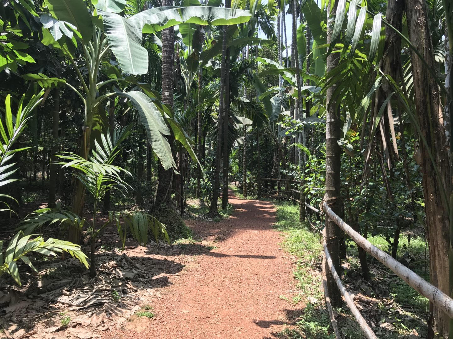 sahakari farm in goa