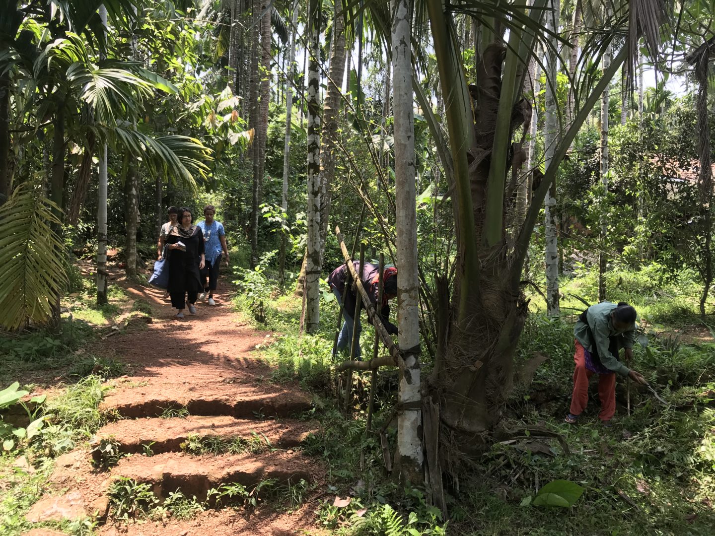 spice farm south goa