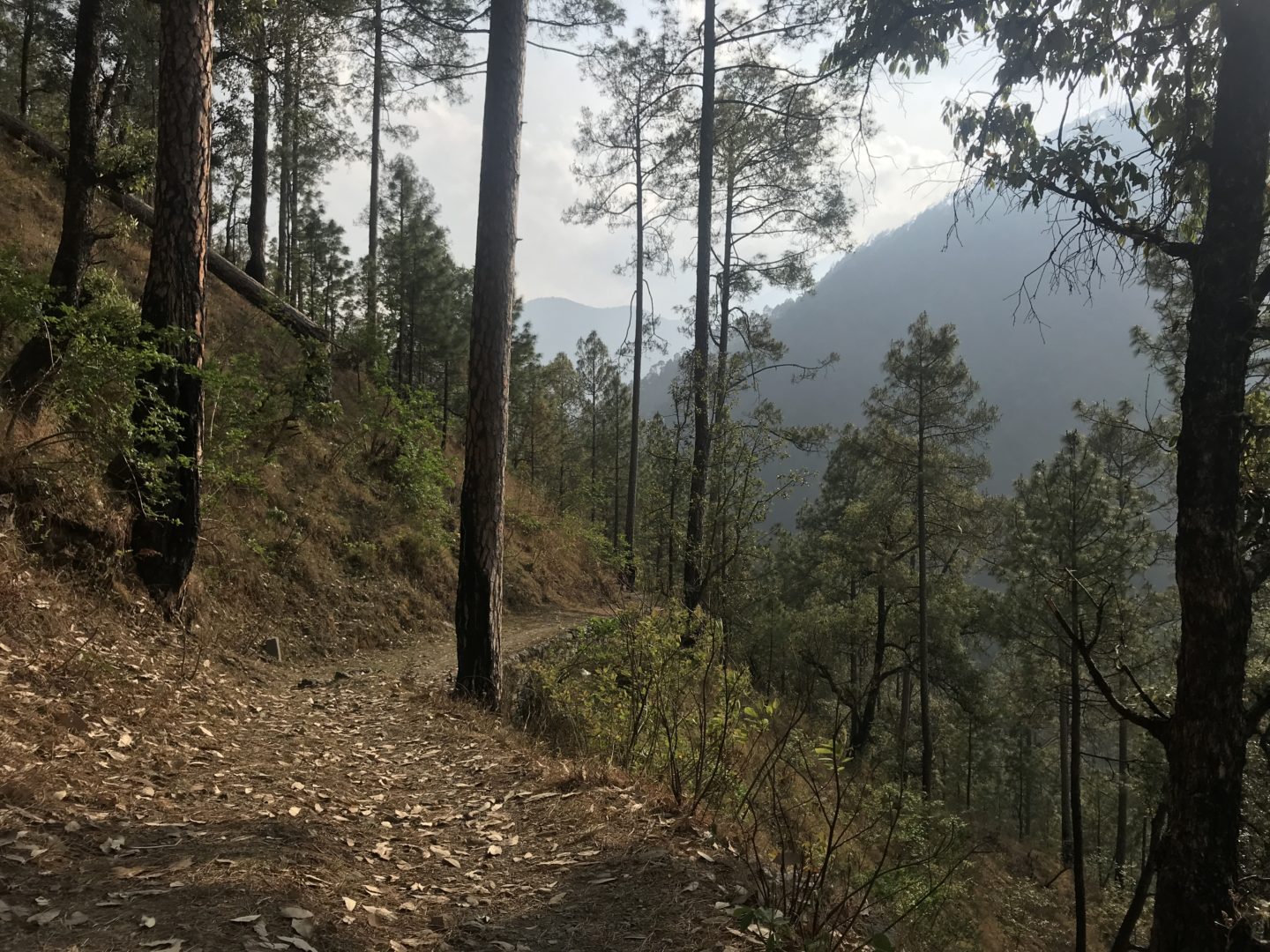 trek to nantin camp