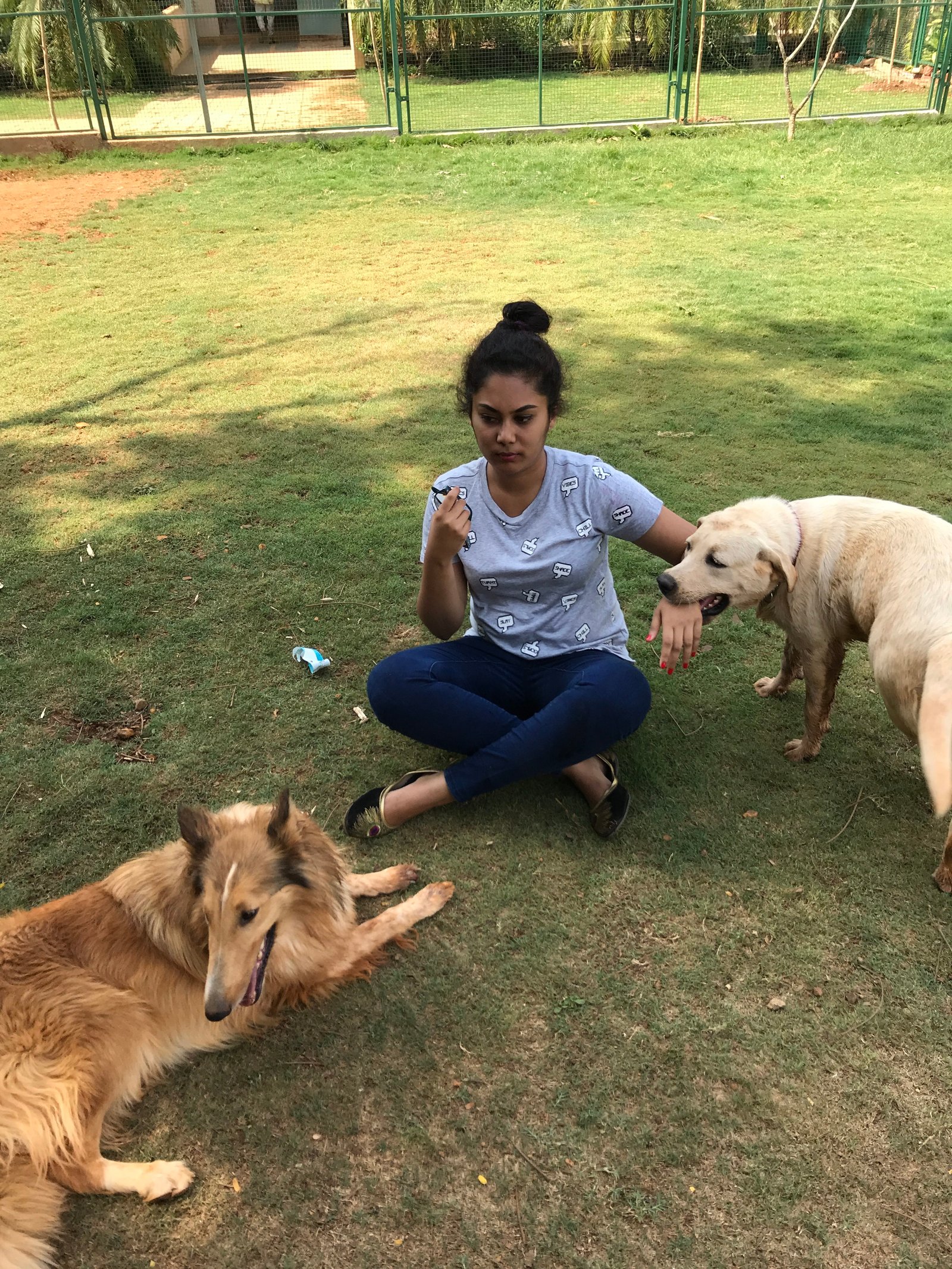 that goan girl dogs | That Goan Girl