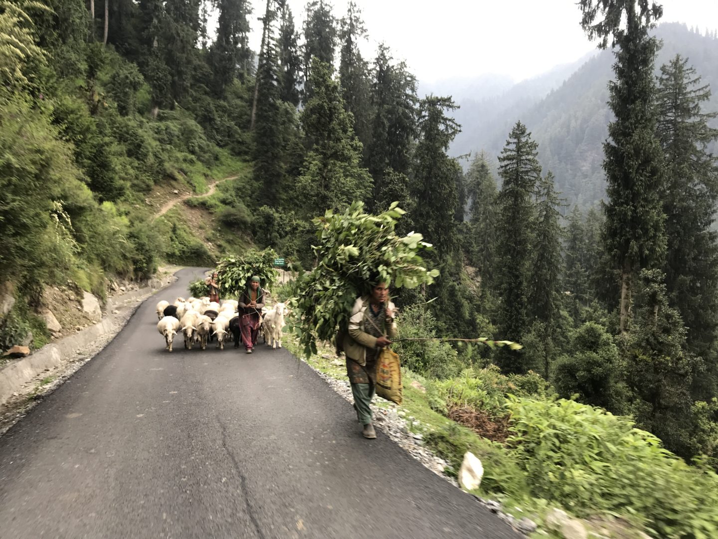 himachal pradesh scenes