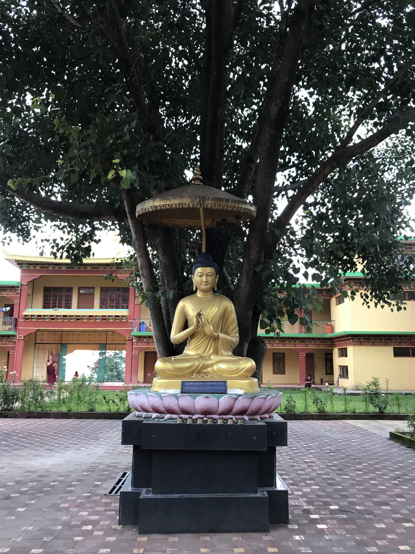 bir chokling monastery