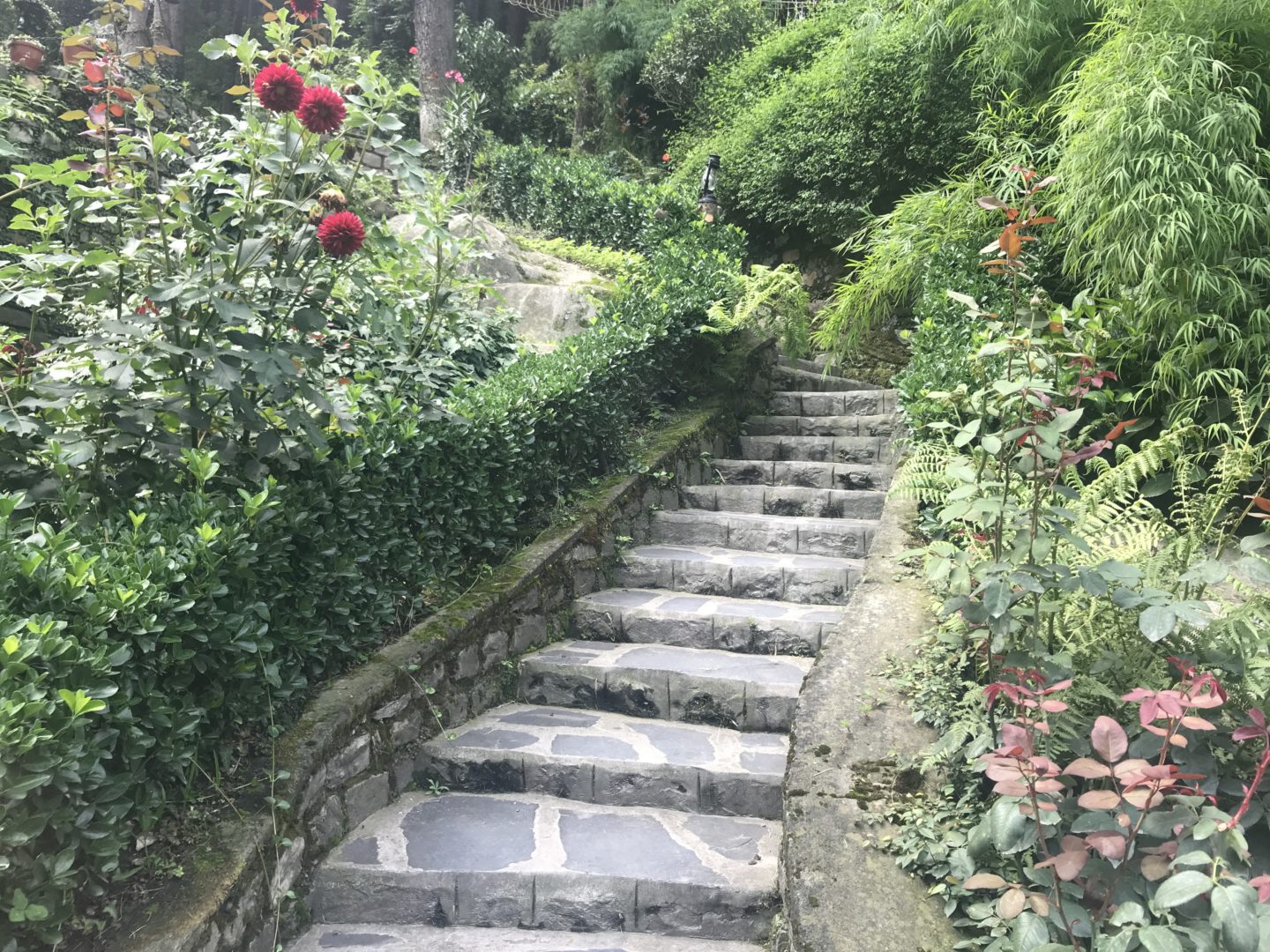 the himalayan village pathway