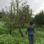 long term travel to himachal pradesh