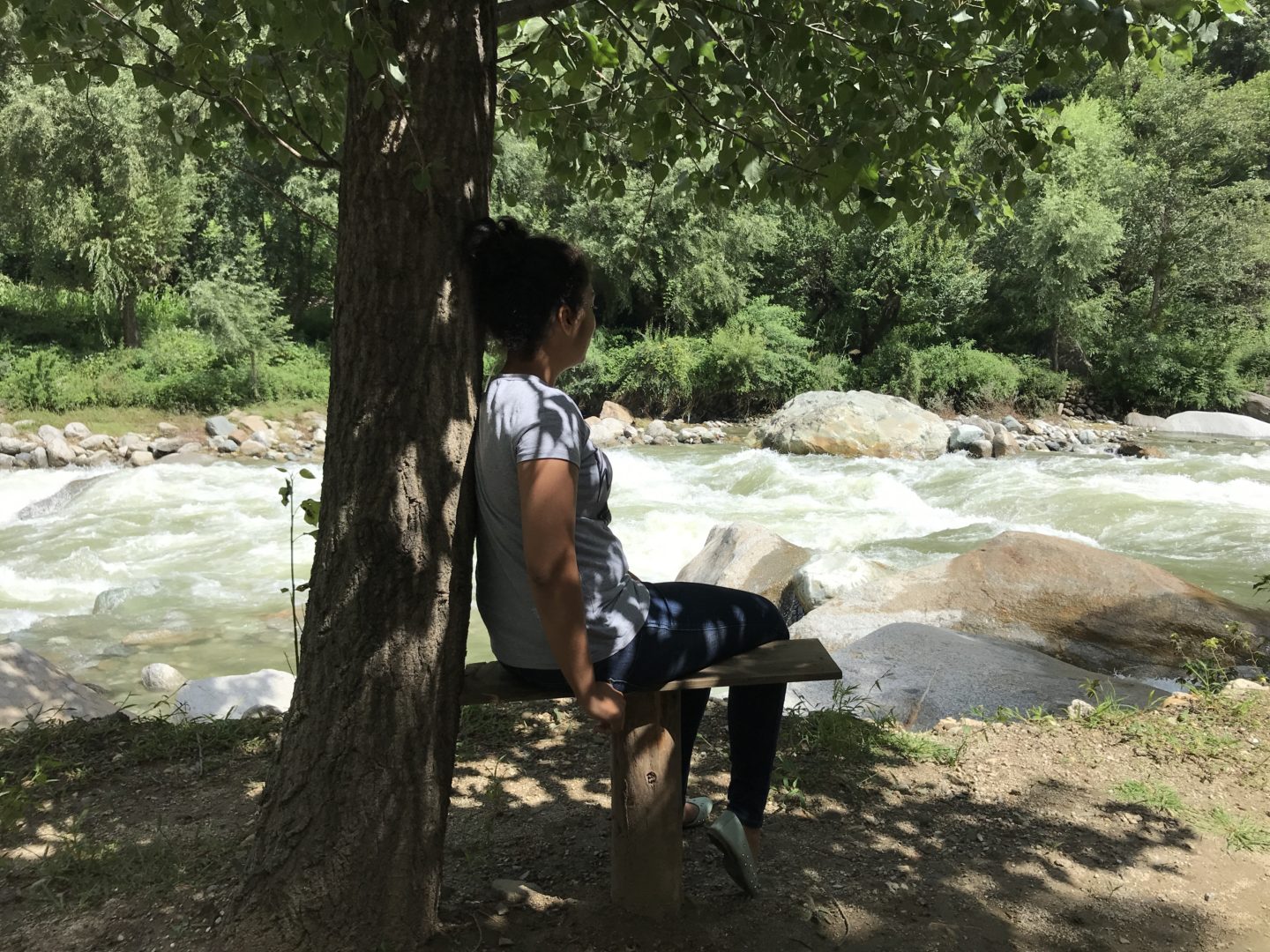 thatgoangirl travel blogger himachal pradesh