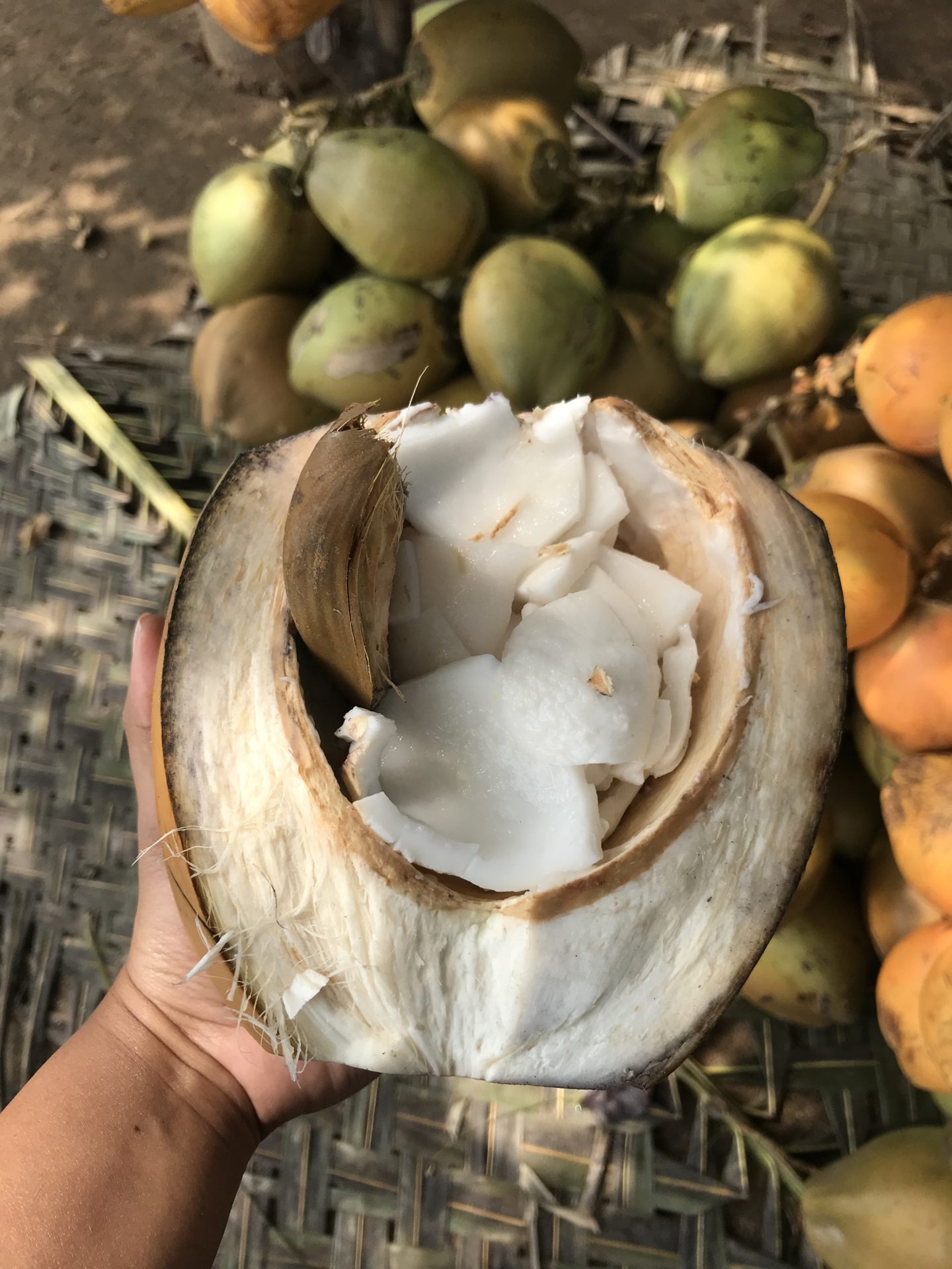 pollachi coconuts