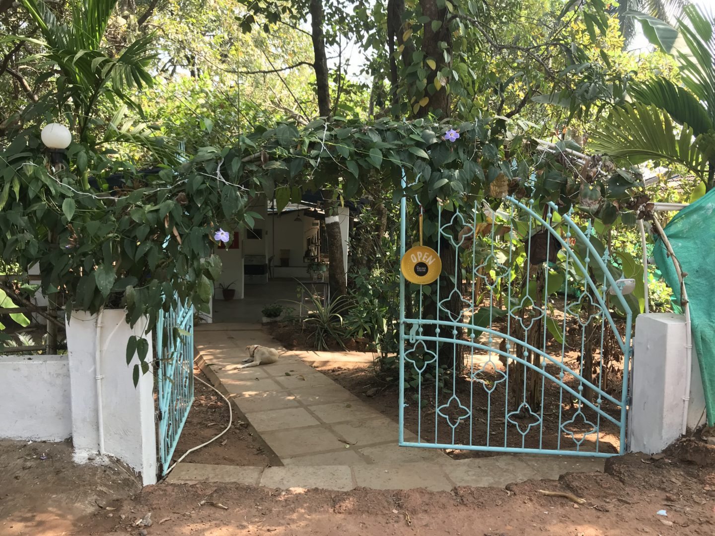 the village studio goa