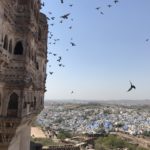 things to do in jodhpur