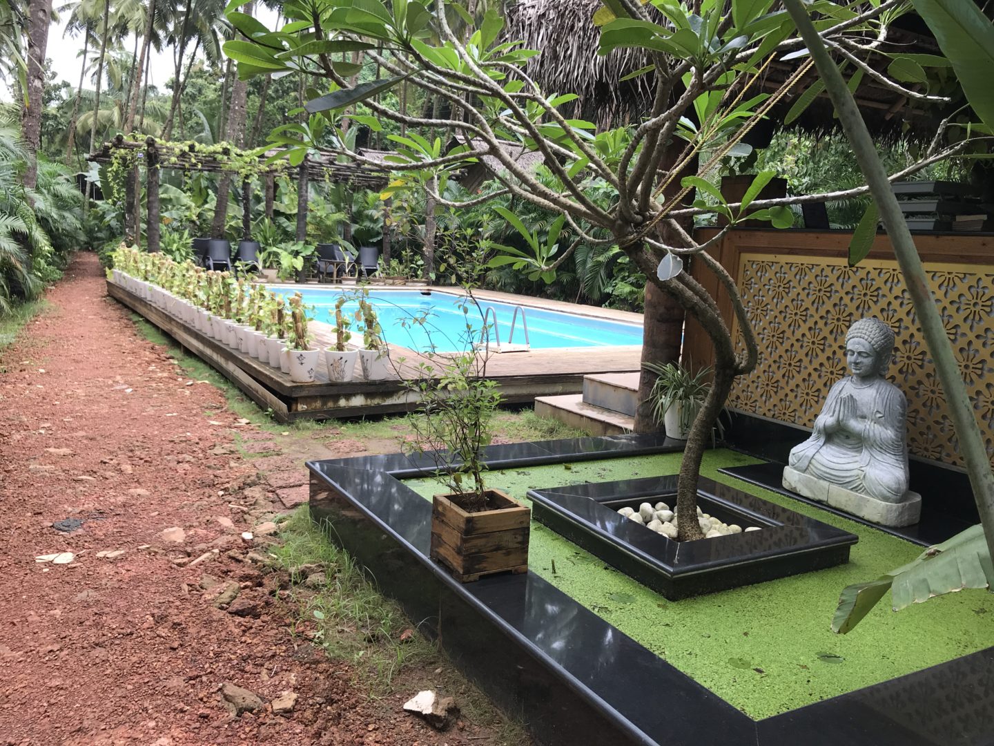 airbnb in agonda cinnamon