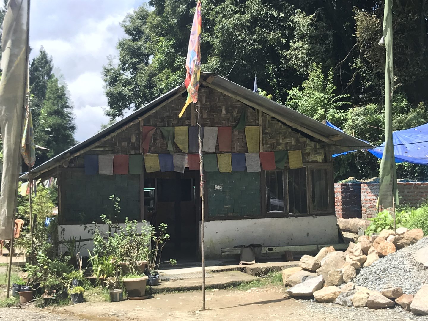 lotus bakery pelling