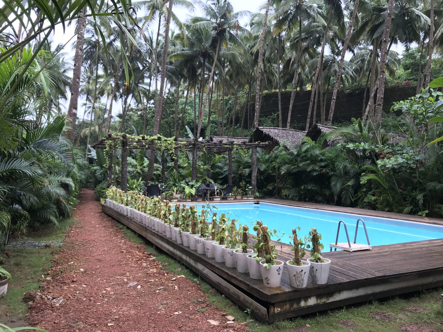 villa with pool in south goa