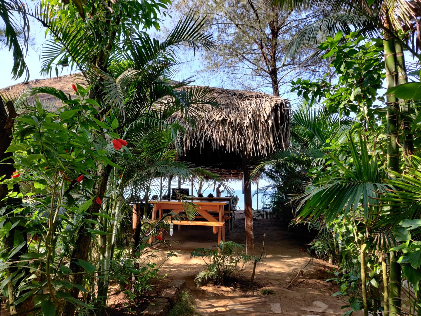 Agonda Cottages – For the Goa you came for!