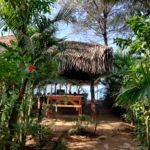 best restaurants in agonda