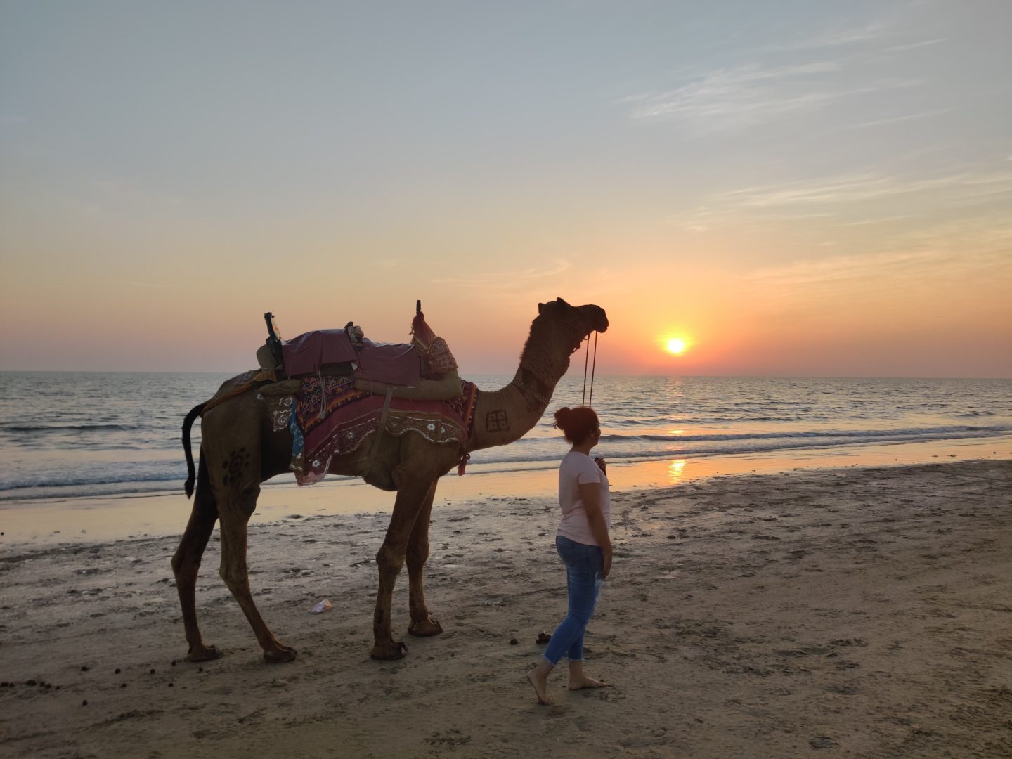 mandvi beach gujarat