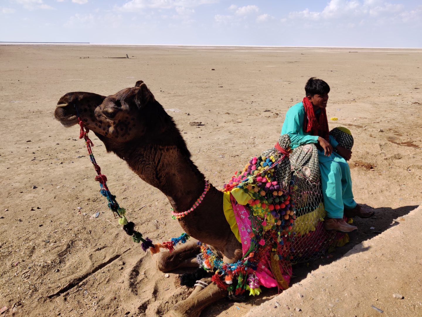 rann of kutch guide