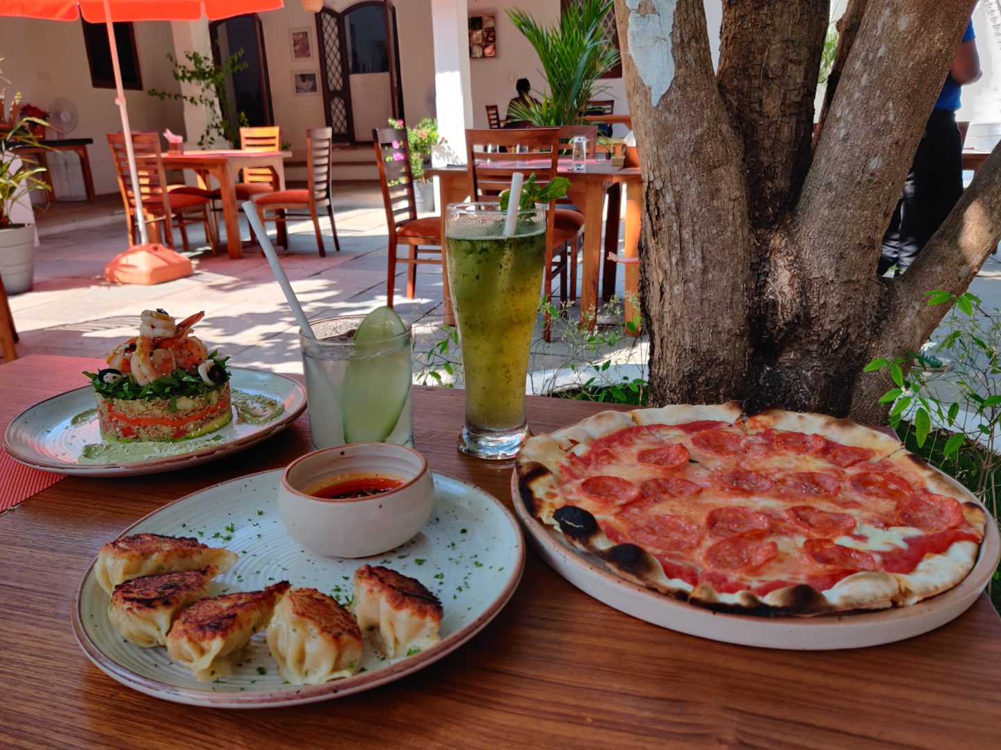 Villa Nova, Arpora – A breezy garden restaurant in Goa with a travel-inspired menu