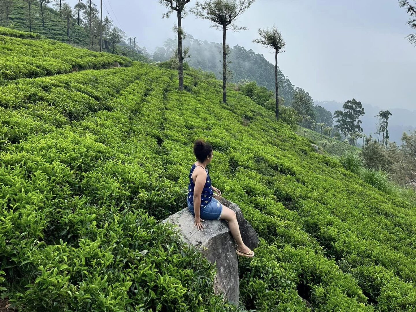 My 14-day Sri Lanka Itinerary