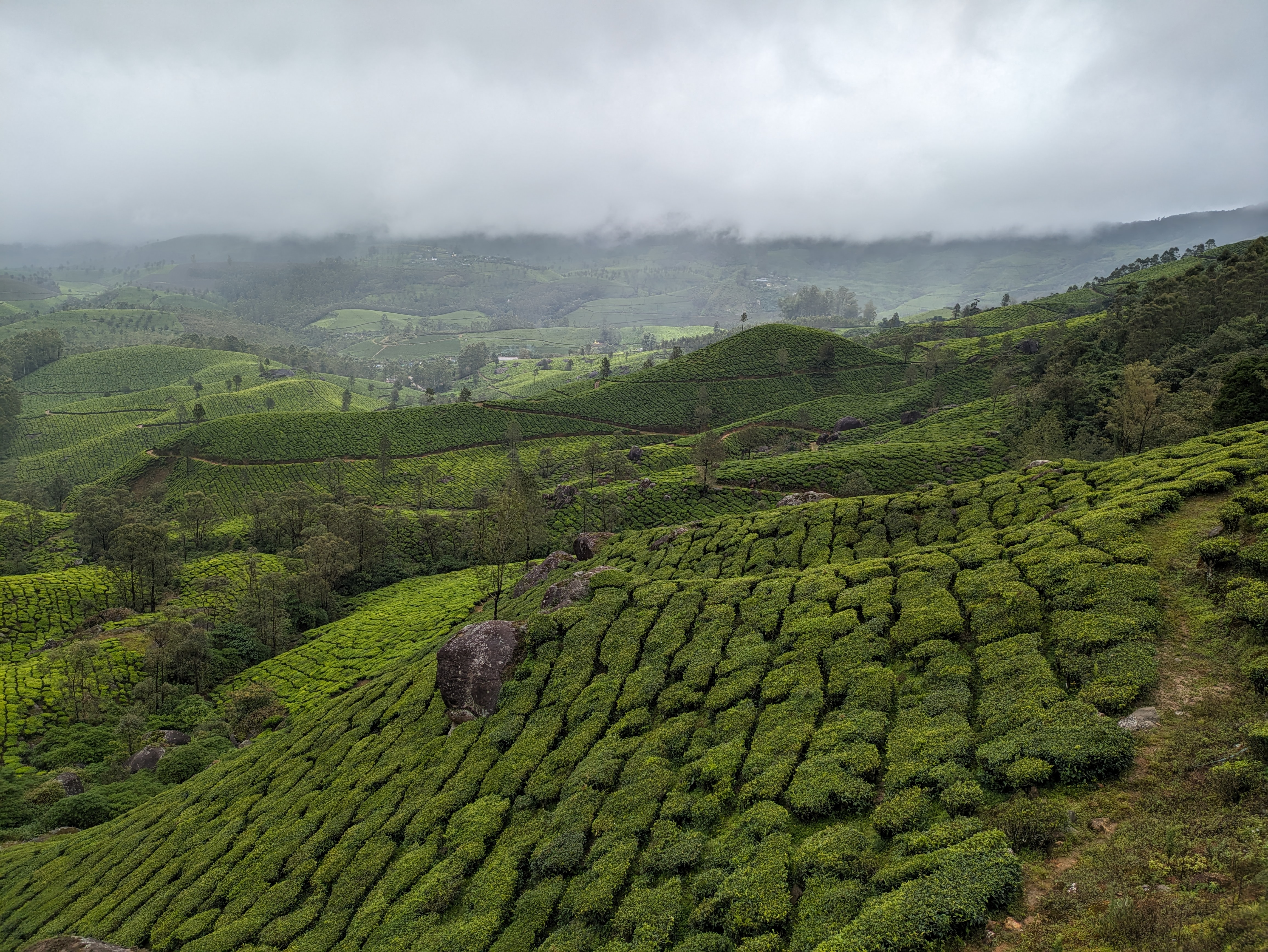 munnar-blog-thatgoangirl