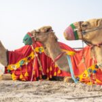 desertsafaridubaiguide
