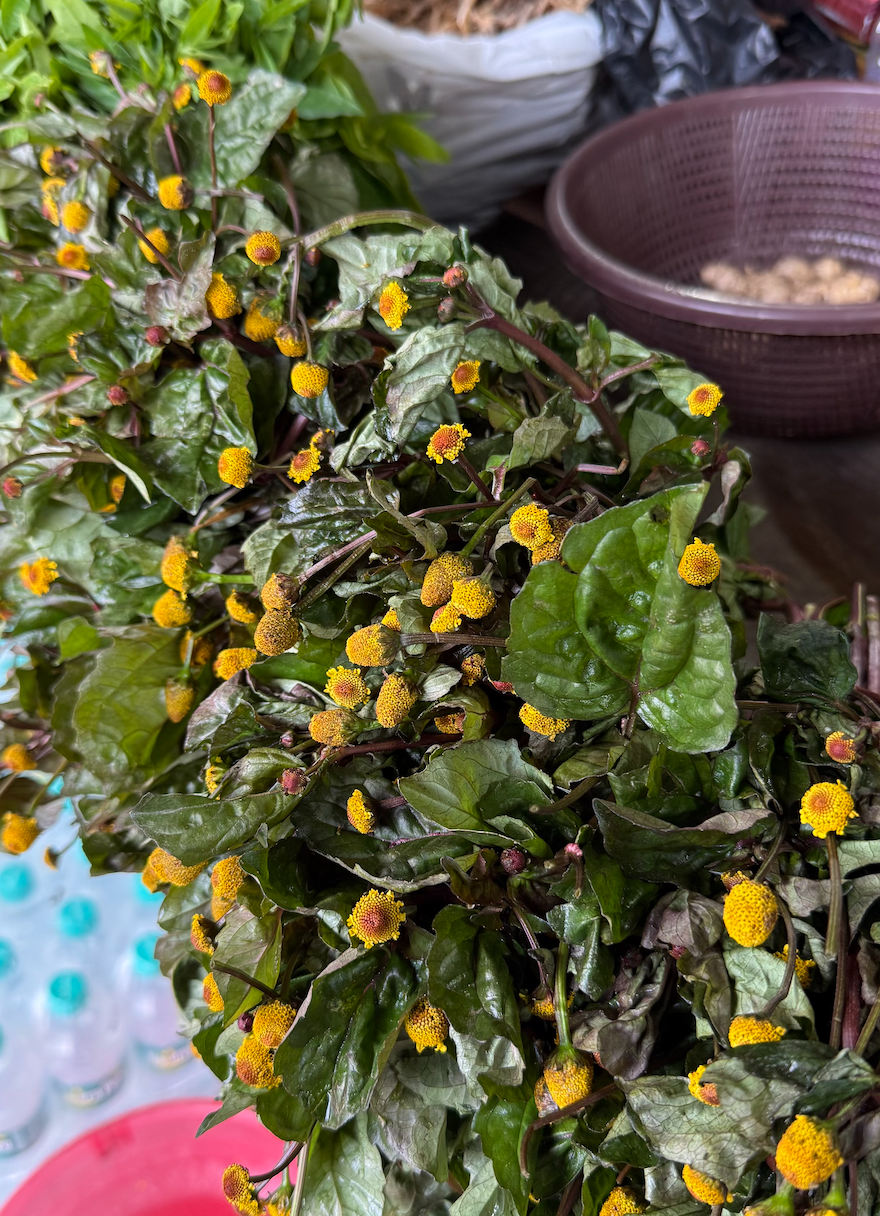 local vegetables arunachal