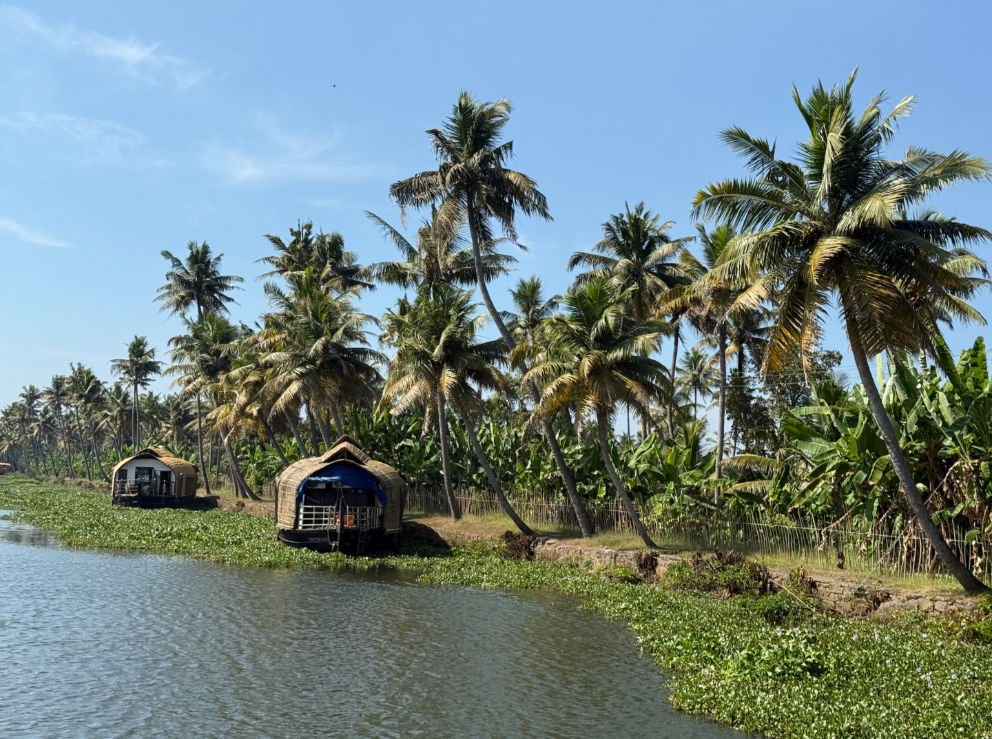kerala kumarakom