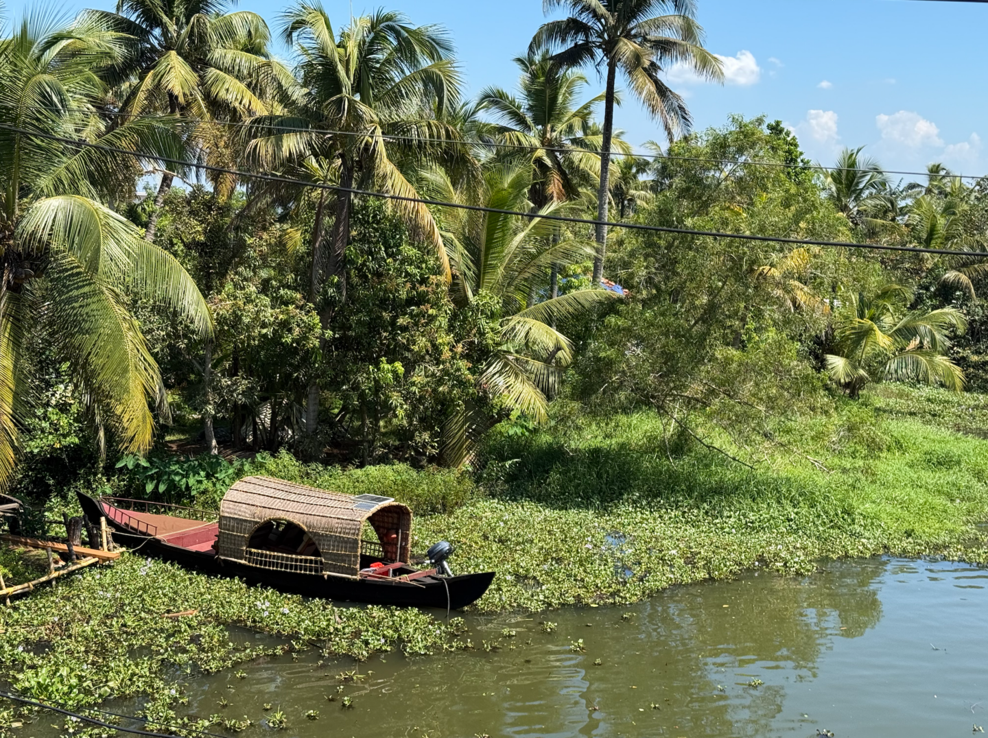 Best Things to Do in Kumarakom: Houseboats, Food & Travel Guide