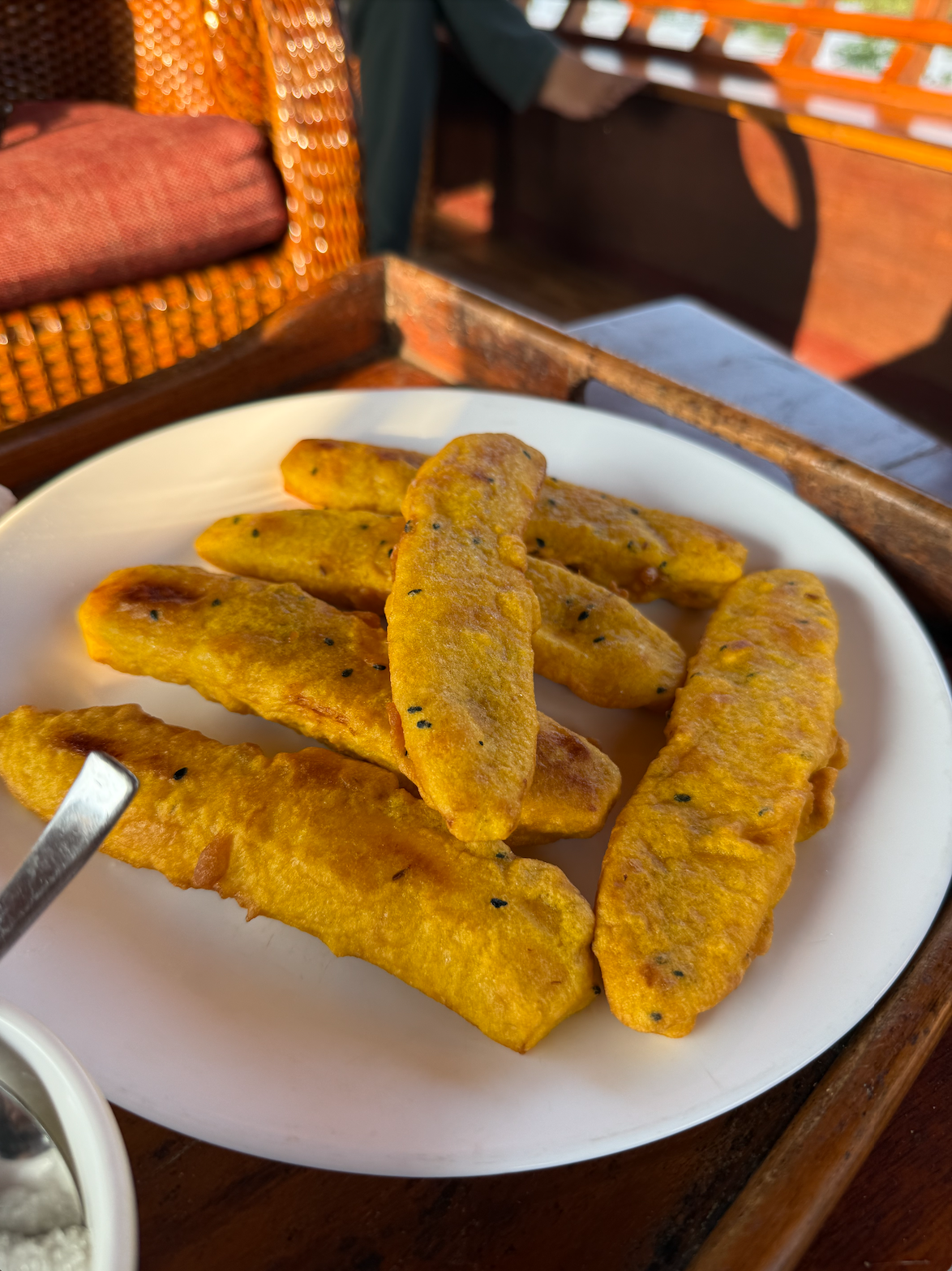 review on kumarakom househoat