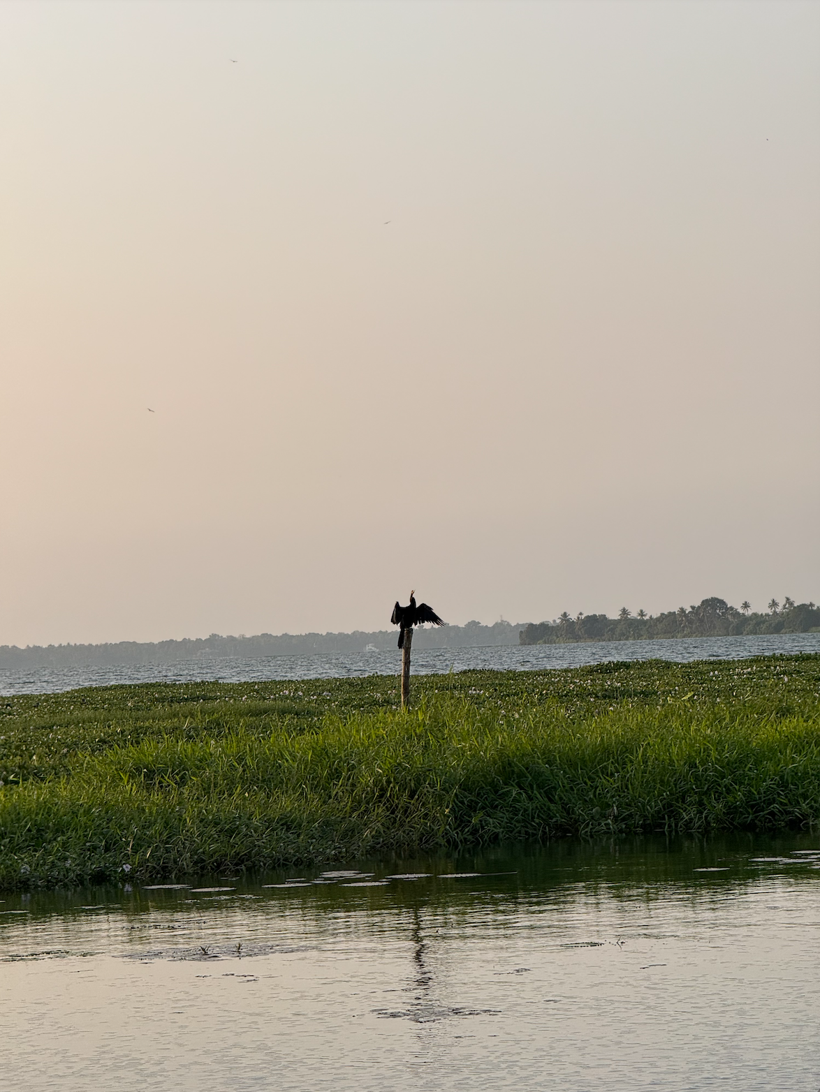 wildlife kumarakom houseboat