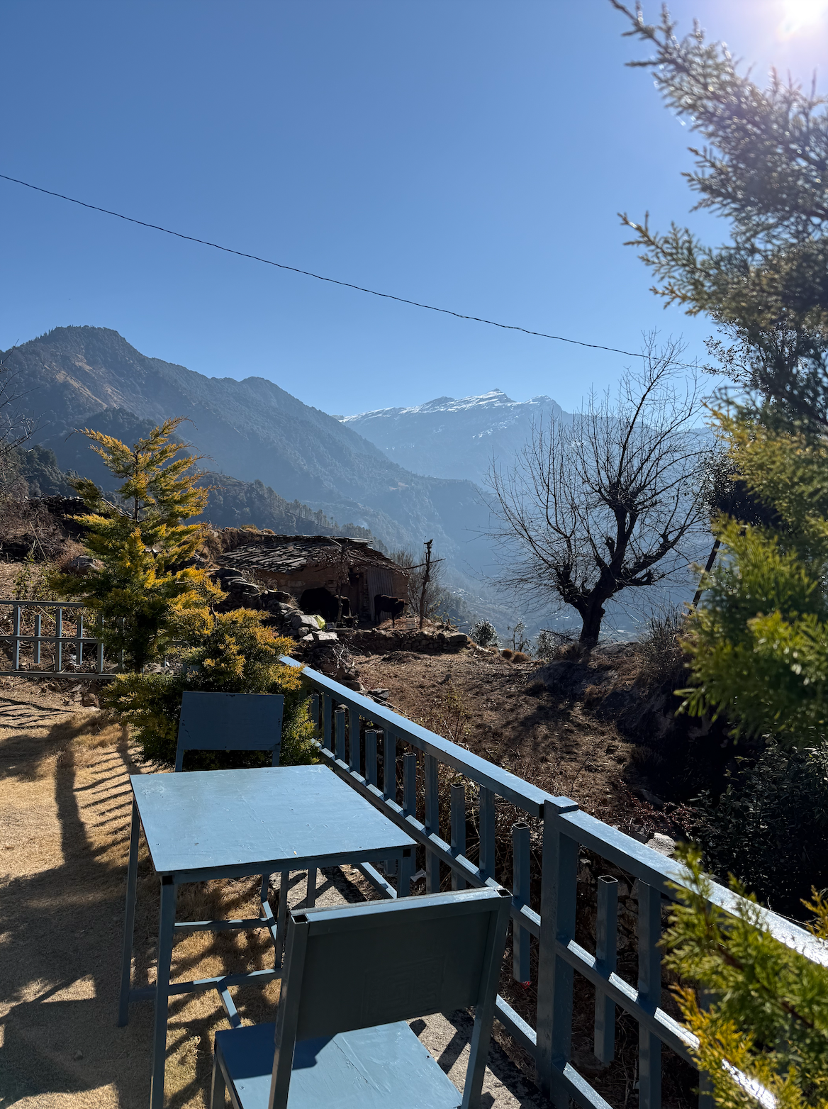 Raibaar Chalet Chopta View