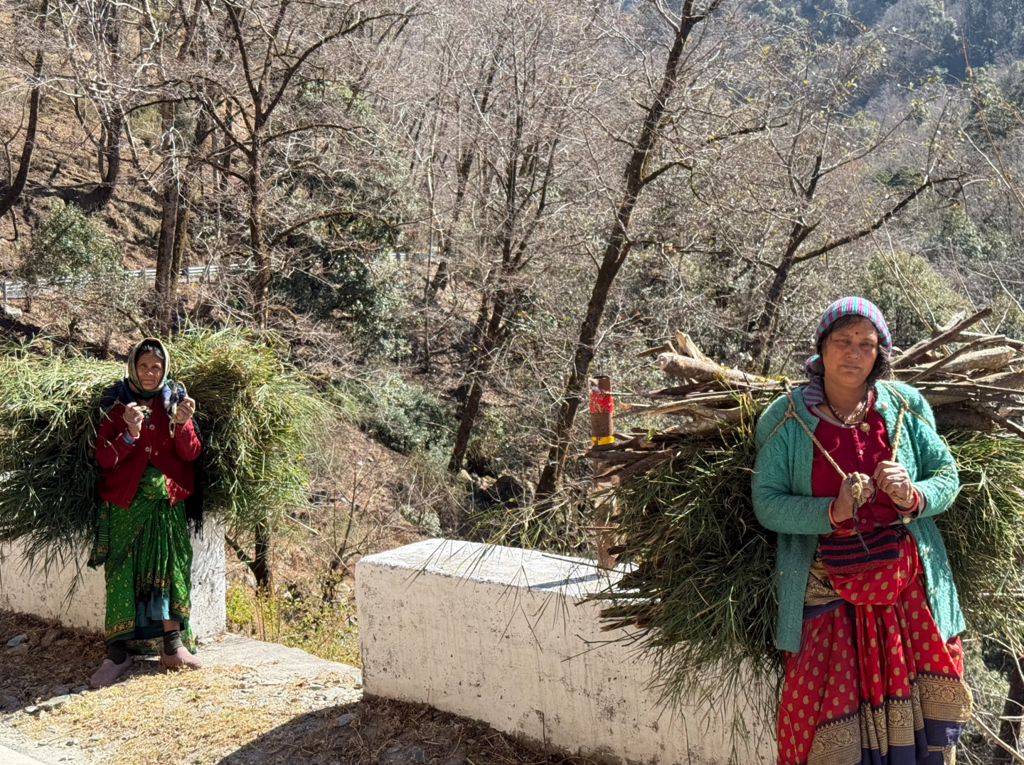 Two Quiet Days in Chopta in Photos