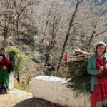 chopta uttarakhand scenery
