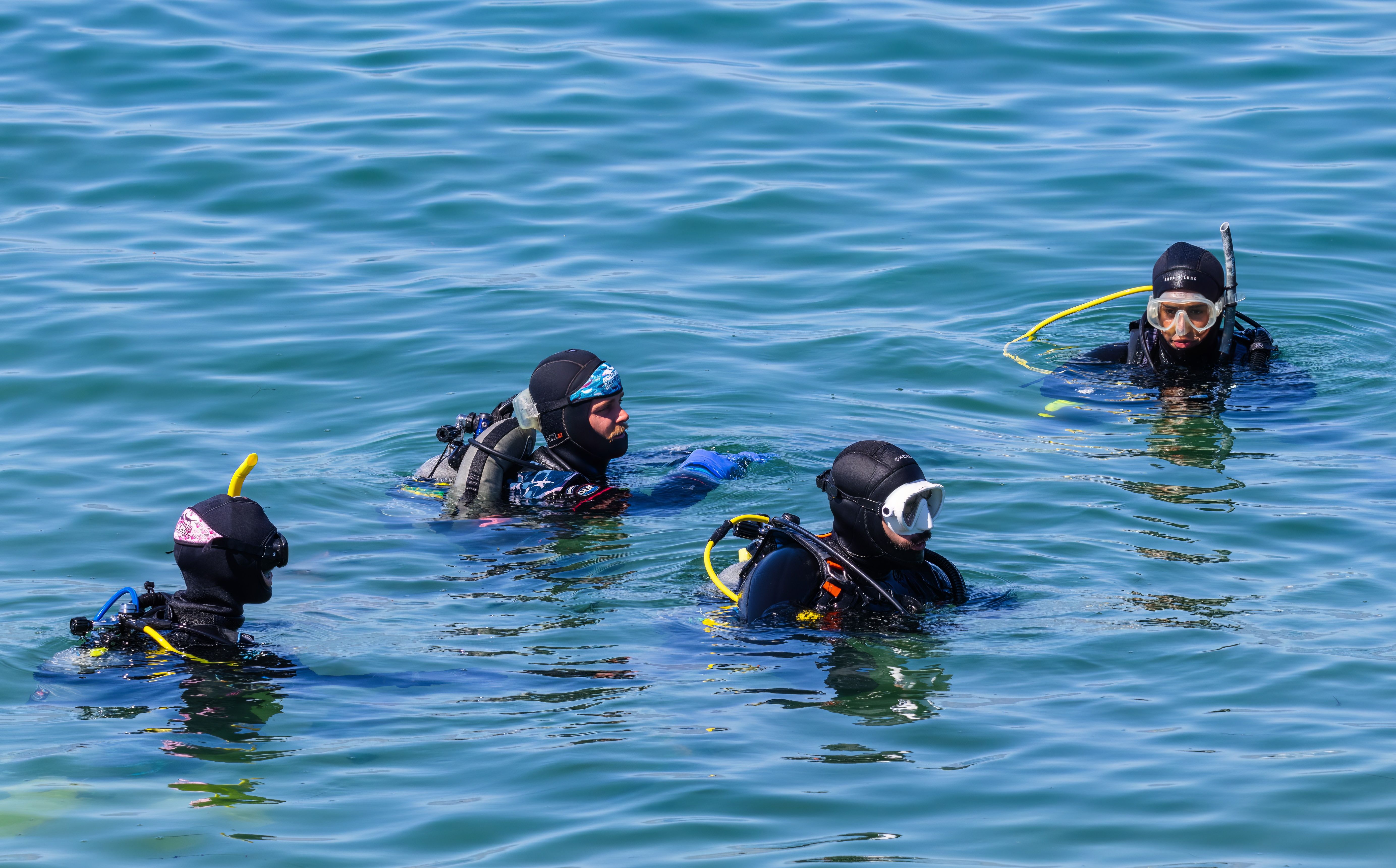 scuba diving in goa