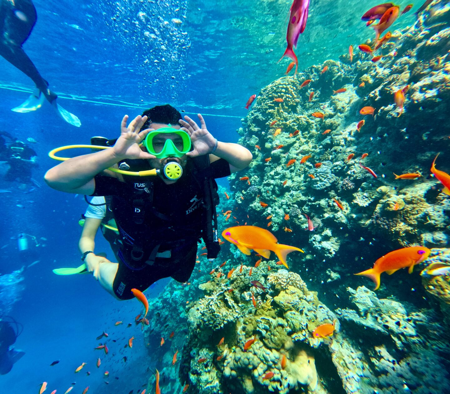 Scuba Diving in Goa: The Honest Guide Nobody’s Written Yet