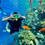 scuba diving grande island goa